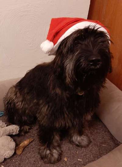 It's beginning to look a lot like.....-Beitrag-Bild