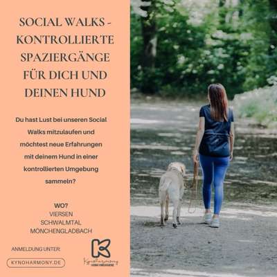 Hundetreffen-Social Walks-Bild