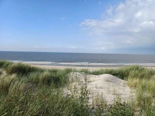 Ostsee mit Hund - Hundestrandnähe-Beitrag-Bild