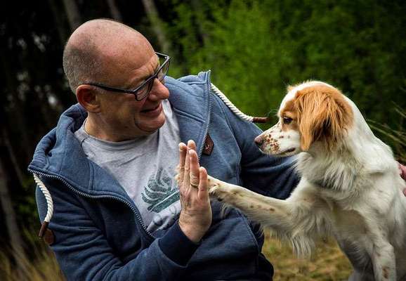 Hundeschulen-Jörg der Hundecoach-Bild