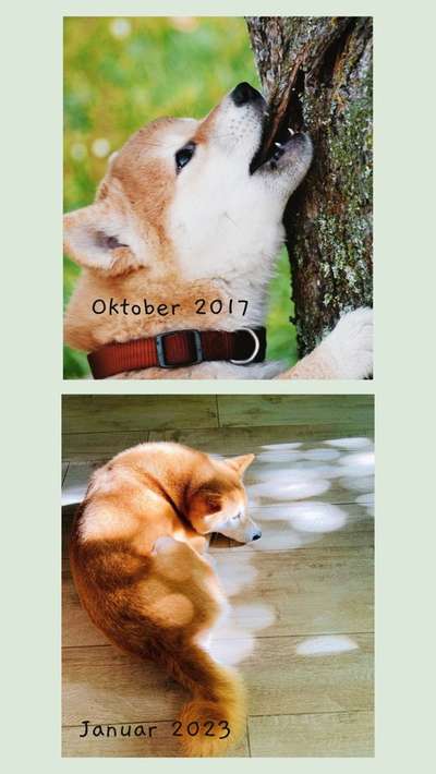 28. Handy-Fotochallenge - Damals und heute-Beitrag-Bild