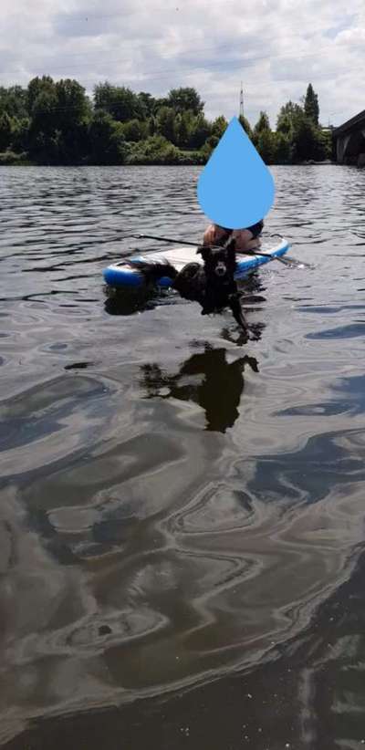 Dogorama-Monats-Challenge-Mai "Wasser"-Beitrag-Bild