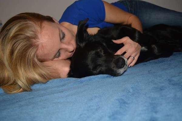 Challenge 33 - Du und dein Hund-Beitrag-Bild