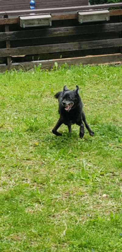 Hier ist der Spaßthread. Zum Schmunzeln und Kaputtlachen-Beitrag-Bild