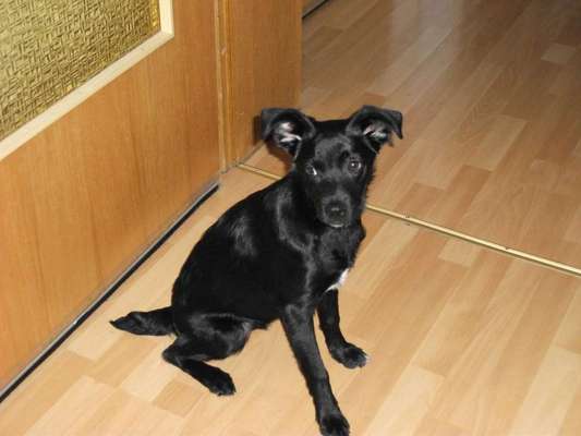 Sie werden so schnell erwachsen ...-Beitrag-Bild