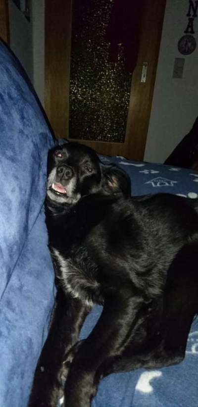 Hier ist der Spaßthread. Zum Schmunzeln und Kaputtlachen-Beitrag-Bild