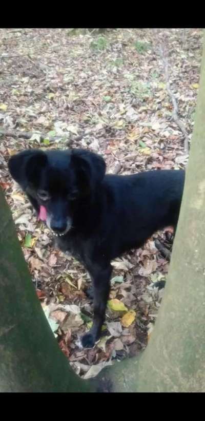 Hier ist der Spaßthread. Zum Schmunzeln und Kaputtlachen-Beitrag-Bild