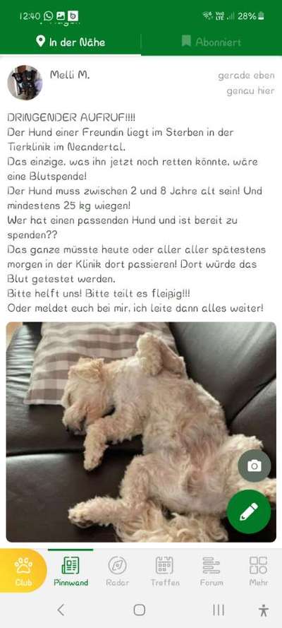 aktuelles Foto Gruppe Blutspenden für Hunde und Katzen