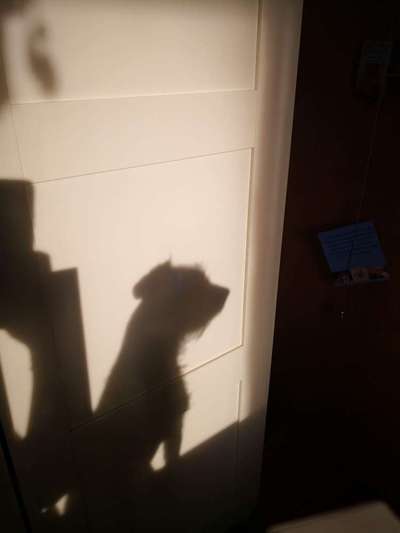 Fotochallange Nr. 46

Schattenspiele BEENDET!!!!!-Beitrag-Bild