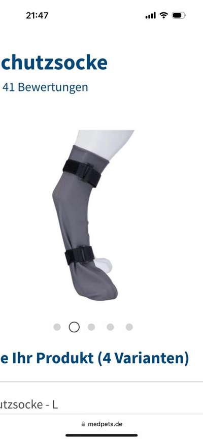 Pfotenverband- was hält und schutzt beim Gassi gehen?-Beitrag-Bild