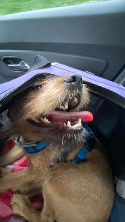 Das beste grinsefoto-Beitrag-Bild