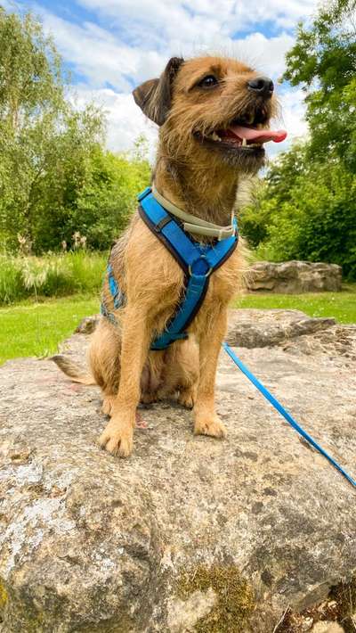 Theos  Fotochallenge Nummer 2-Beitrag-Bild