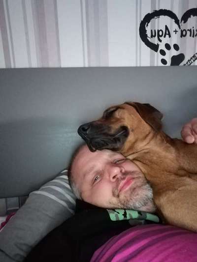 Challenge 33 - Du und dein Hund-Beitrag-Bild