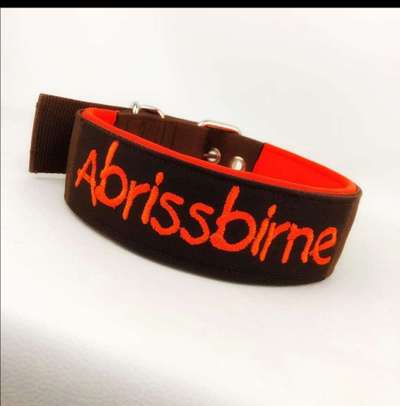 Rhodesian Ridgeback-Beitrag-Bild