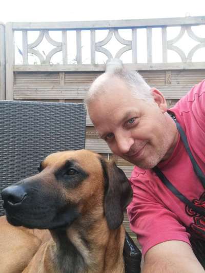 Rhodesian Ridgeback-Beitrag-Bild