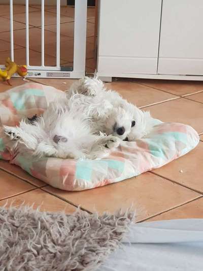 Die unbequemsten und lustigsten Schlafpositionen-Beitrag-Bild