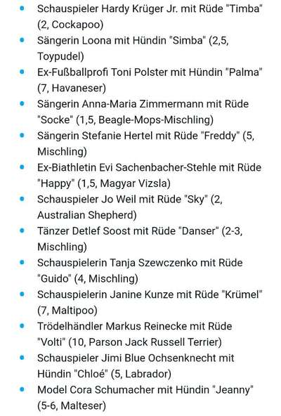 Top Dog-der Live Ticker Thread-Beitrag-Bild