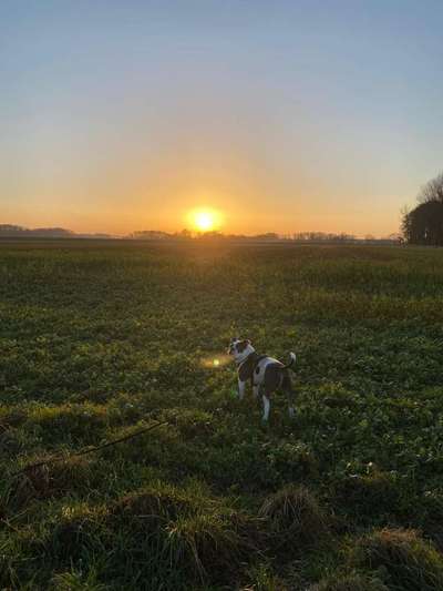 SonnenSTRAHLEN-Beitrag-Bild