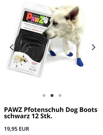 Pfotenverband- was hält und schutzt beim Gassi gehen?-Beitrag-Bild