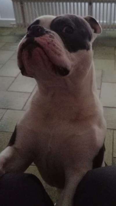 Hier ist der Spaßthread. Zum Schmunzeln und Kaputtlachen-Beitrag-Bild