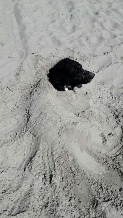 Hier ist der Spaßthread. Zum Schmunzeln und Kaputtlachen-Beitrag-Bild