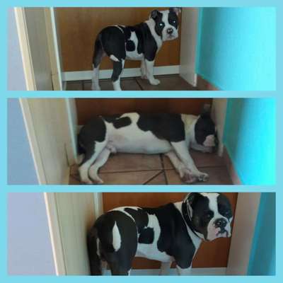 Vorher.... Nachher-Beitrag-Bild