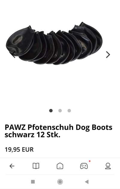 Verletzung am Pfotenballen-Beitrag-Bild