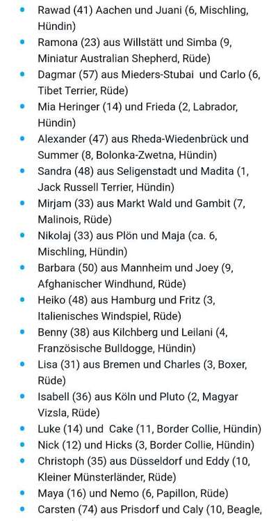 Top Dog-der Live Ticker Thread-Beitrag-Bild