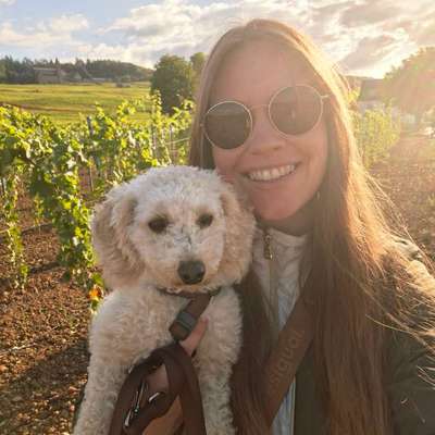 Hundetreffen-Spazier -und Spieltreffen-Bild