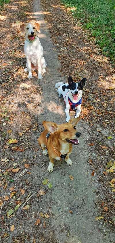 Handy-Foto-Challange Nr. 8-Beitrag-Bild