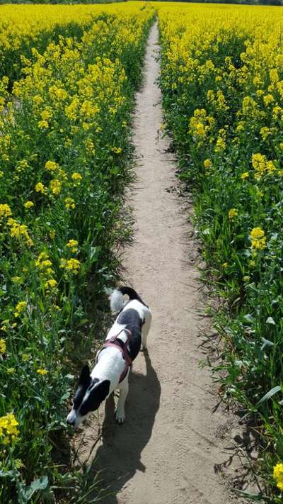 Fotochallenge 78

Es grünt und blüht-Beitrag-Bild