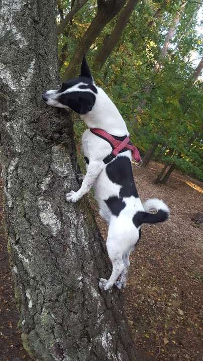 Theos Fotochallenge Nr. 3-Beitrag-Bild