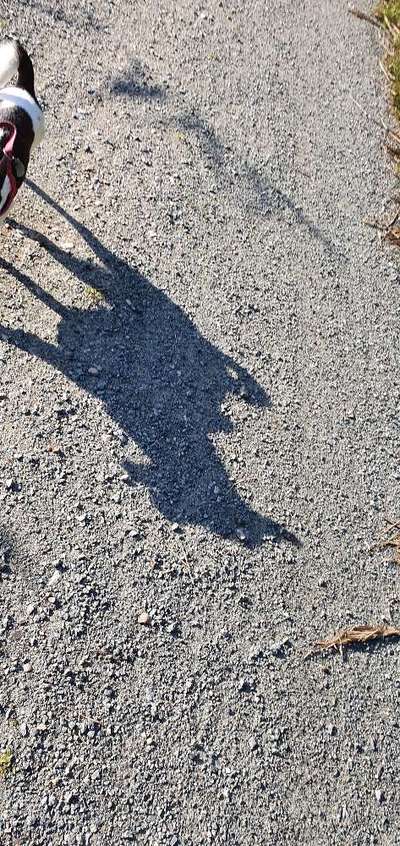 Theos Fotochallange Nummer 4-Beitrag-Bild