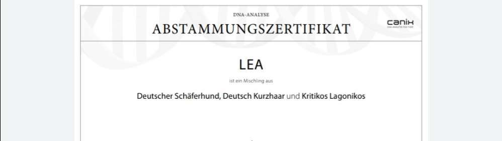 DNA-Tests-Beitrag-Bild