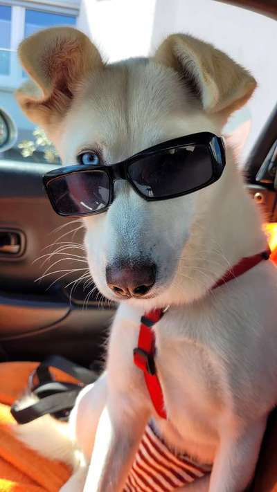 4. Lustiger Schlafplatz-Beitrag-Bild