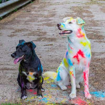 Heute mal ein Fotoshooting mit Holifarben-Beitrag-Bild