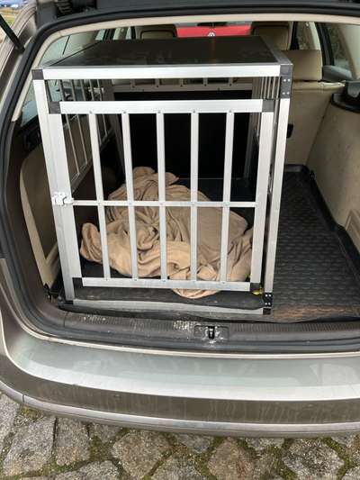 Welches Auto mit welchem Hund-Beitrag-Bild