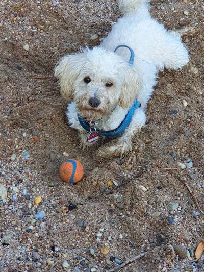 138. Fotochallenge 

(M)Ein Ball und ich-Beitrag-Bild