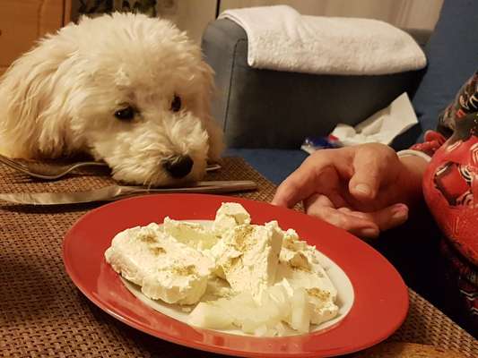 147. Foto Challenge: Bettelblick-Beitrag-Bild