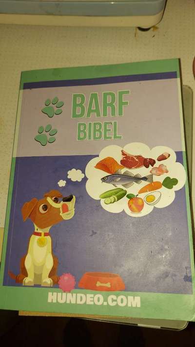 Ernährung-Beitrag-Bild