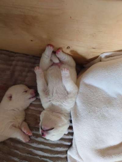 CHALLENGE NR. 34 - Liege-/Schlafpositionen-Beitrag-Bild