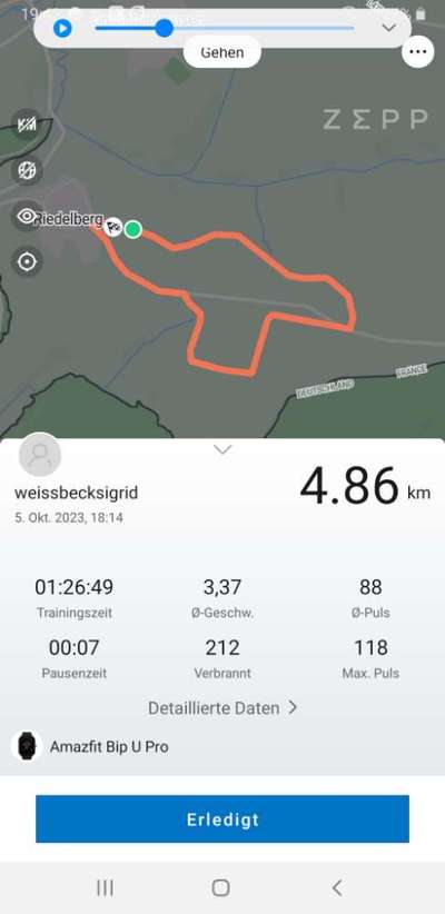 Rhodesian Ridgeback-Beitrag-Bild