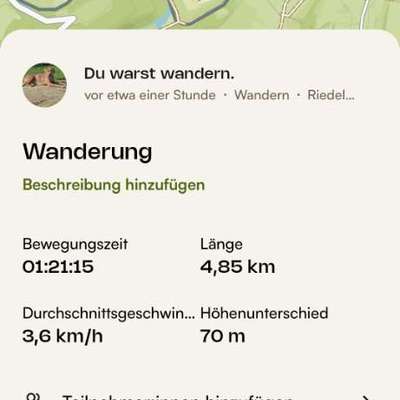 Rhodesian Ridgeback-Beitrag-Bild