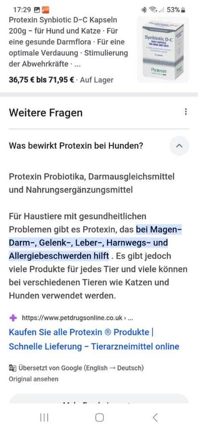 Rhodesian Ridgeback-Beitrag-Bild