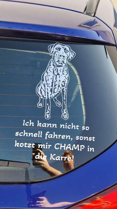 Rhodesian Ridgeback-Beitrag-Bild