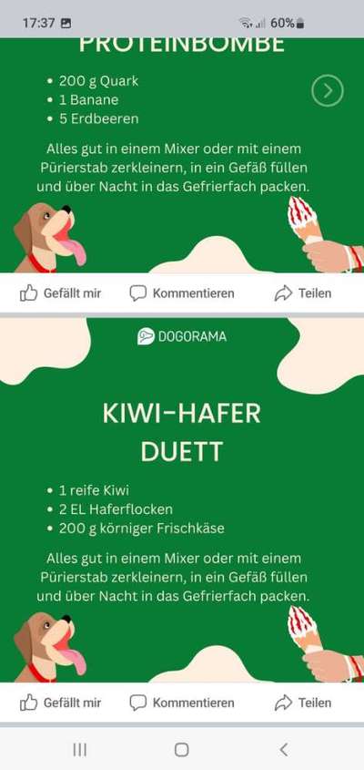 Rhodesian Ridgeback-Beitrag-Bild