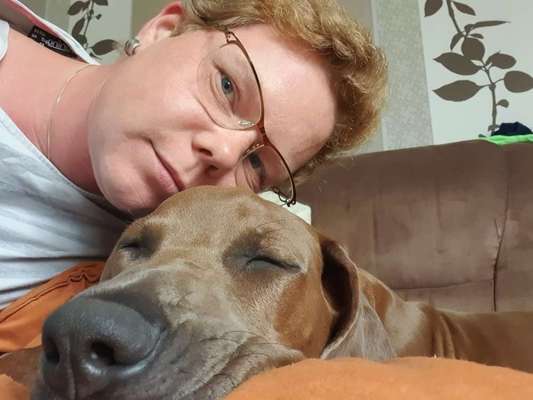 Rhodesian Ridgeback-Beitrag-Bild