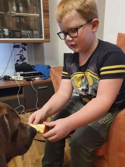 Rhodesian Ridgeback-Beitrag-Bild