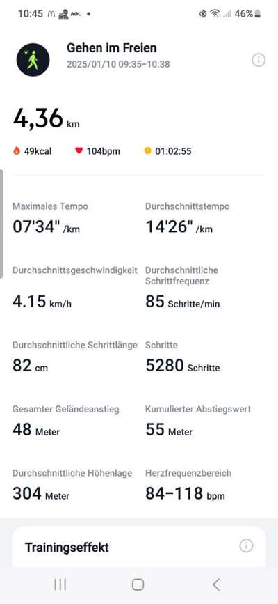 Rhodesian Ridgeback-Beitrag-Bild