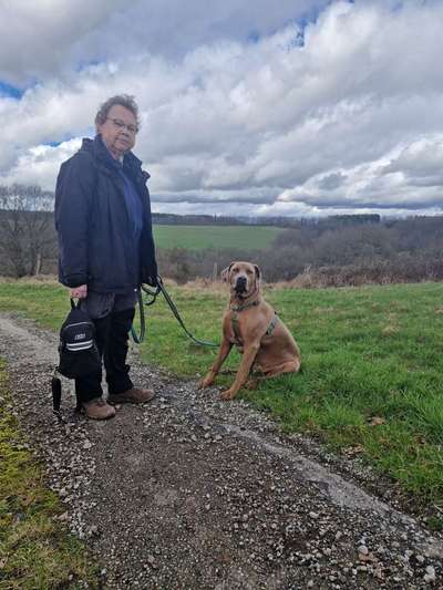 Rhodesian Ridgeback-Beitrag-Bild